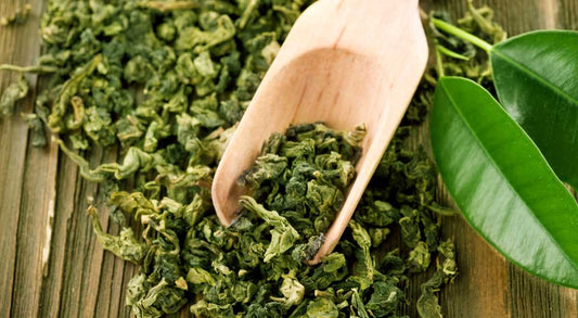 Thé vert, thé noir, rooibos et oolong : quelles différences ?