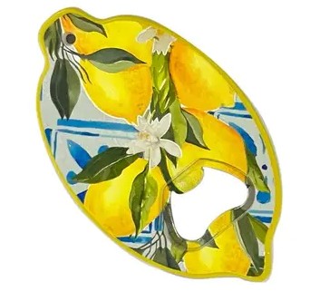 Lemonade Maker - A Family Story